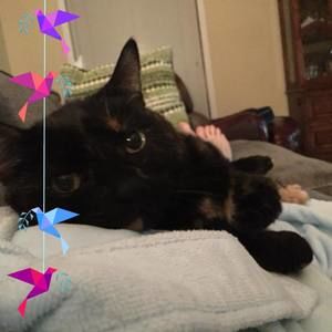 Meet your Posher, Norma